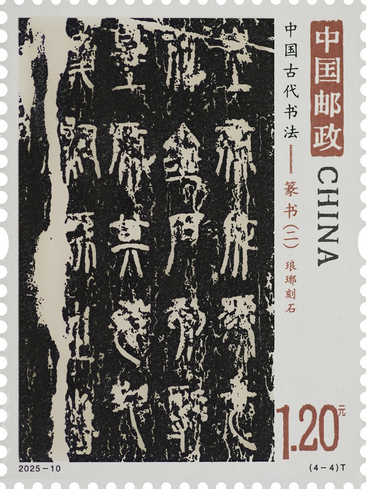 2025-10_(4-4)T单枚.jpg
