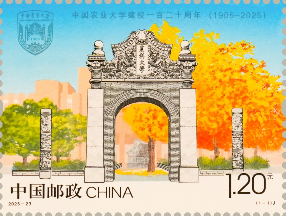 2025-23(1-1)_单枚.jpg