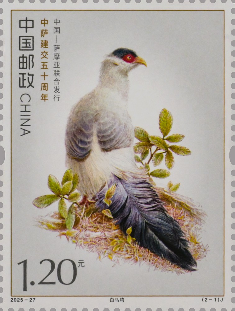 2025-27(2-1)J单枚.jpg